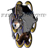 by j thomas-ficken