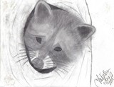 by Tabitha Pitner