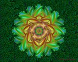 by Carl Huffman