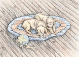 by Rhonda Shereck