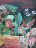 by Nancy Price