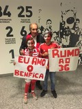 by José Ramalhão Fortunato