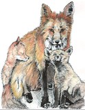 by Terri Walker