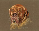 by Jennifer Redstreake