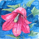 by Ingrid Kolster