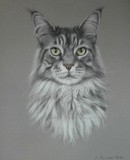 by Joanne Simpson-Connor