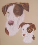 by Joanne Simpson-Connor