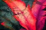 by VELYKIO - gintautas velykis -