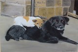 by Maureen  Middleton