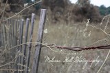 by melissa hall