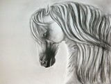 by Crystal  S