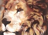 by mandy thomas