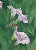 by Barbara Keith