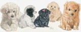 by Barbara Keith
