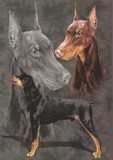 by Barbara Keith