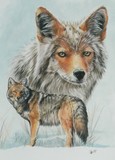 by Barbara Keith