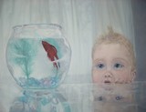 by Sue Johnson