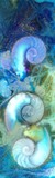 by Kathy Morton-Stanion