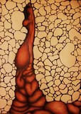 by Jessica Grisez