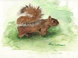 by Kirsi Lehtosaari