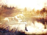 by karie Miller