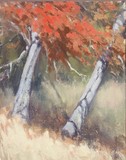 by bob obrian