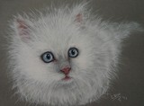 by Clementine Blok