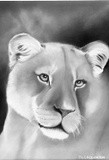 by Diane Greenhorn
