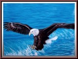 by T Craig Brown