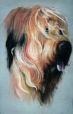 by Natascha M