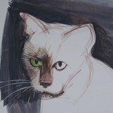 by Sarah Corbett