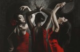 by Brita Seifert