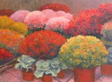 by Cindy Sugg