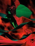 by Collage Art
