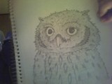 by Kweh! Wilde