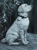 by Jenna Frazier