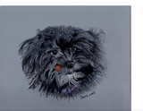by stephanie nicholsons