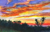 by Wayne Nordine