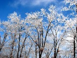 by Nature Images