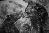 by Cindy Swinehart