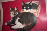 by ozgur akcin