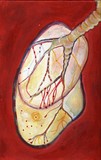 by mirella musri