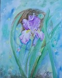 by Patricia Elgee