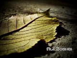 by ali zoghbi
