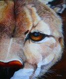 by Alice Martin