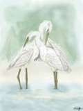 by Katie Fleming