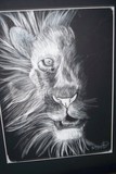 by shelby h