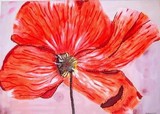 by Mamu Art