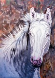 by Jacqueline Kinsey