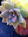 by Terri Eckley